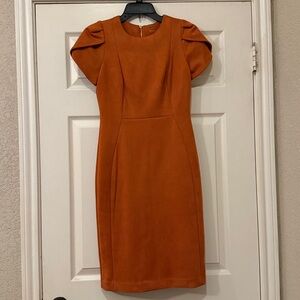 Calvin Klein Burnt Orange Dress with Gold Zipper